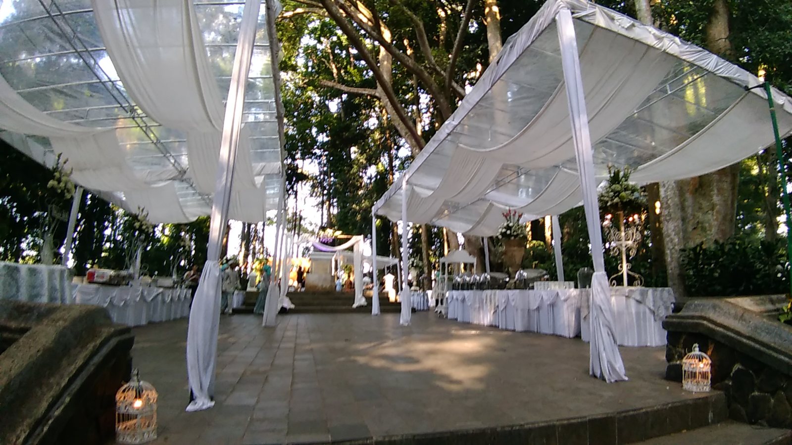 Tenda transparan untuk area buffet pernikahan outdoor di bawah pepohonan