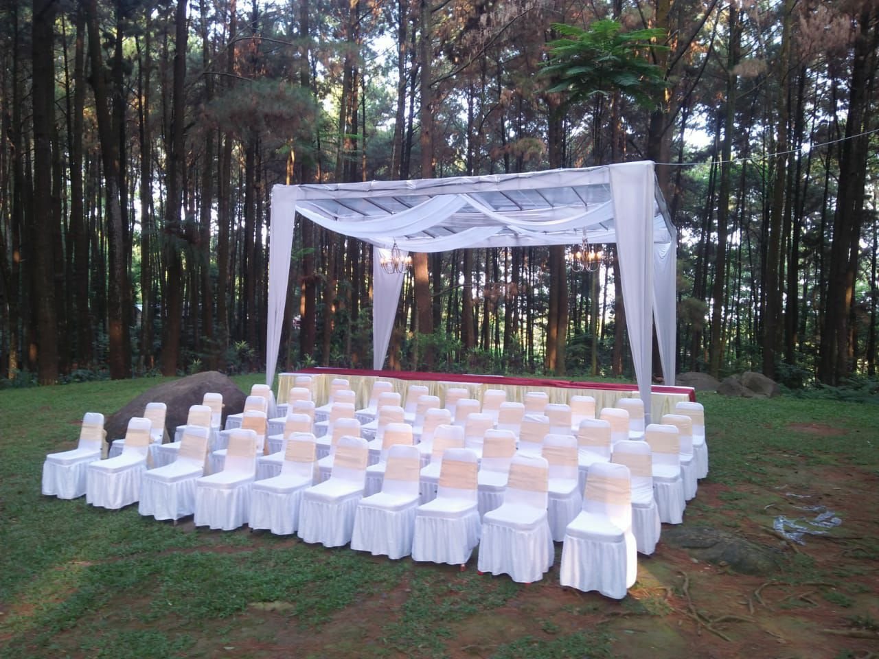 Tenda transparan untuk akad nikah di hutan pinus dengan kursi cover putih